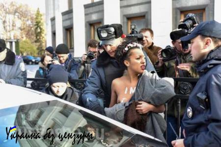 Новая украинская полиция скрутила активисток Femen под Верховной Радой (ФОТО)