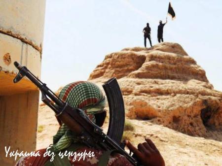 Американский спецназ, ИГИЛ и «Пешмерга»: независимый Курдистан США не нужен (ФОТО)