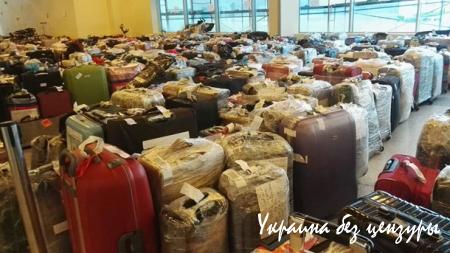 Аэропорты Москвы завалили чемоданами из Египта - соцсети