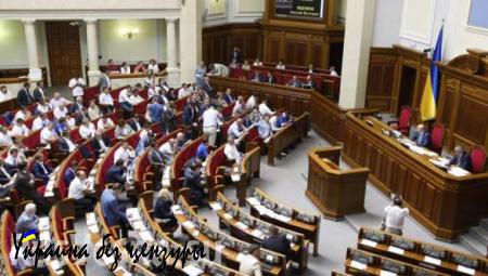 Рада может ввести мораторий на выдачу иностранцев, воюющих в Донбассе