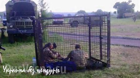 Пьяные «герои АТО» режут друг друга на Донбассе: сослуживцы убили бойца 72-й бригады ВСУ