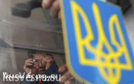 Низкая явка на украинских выборах вызвана отсутствием реального выбора, считают в парламенте ДНР 