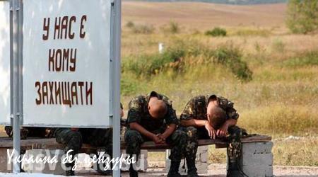 Пьяные украинские каратели перестреляли друг друга, итог — 4 трупа