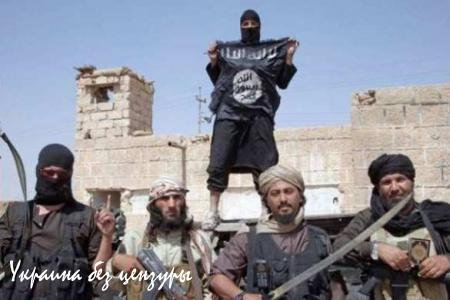 Сирийским боевикам озвучен приговор: «непримиримой оппозиции» грозит уничтожение