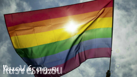 Для дискредитации российских чиновников используют ЛГБТ-активистов
