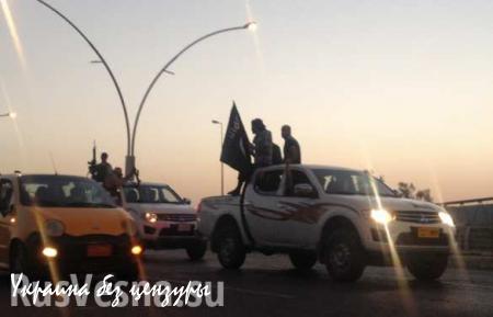 Боевики ИГИЛ начали бегство из Ракки в сторону турецкой границы