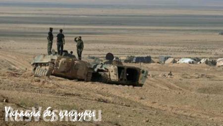 Сирийская армия ведет бои с ИГИЛ в 2 км от города Пальмира