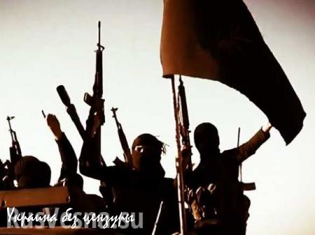ИГИЛ «похвастался» казнью двоих заложников Эра Новостей (ФОТО)