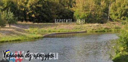 Экологи ДНР разработали проект по усилению охраны водоемов Республики