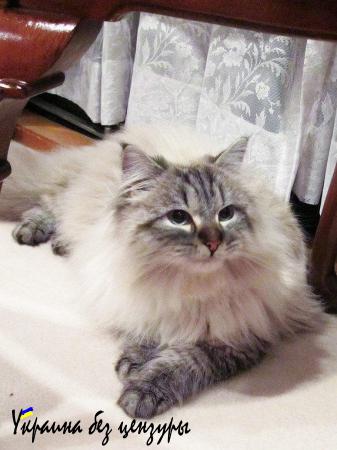 Из России с любовью (ФОТО, ВИДЕО)