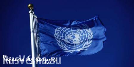 ООН приняла резолюцию о борьбе с героизацией нацизма, Украина и США — против