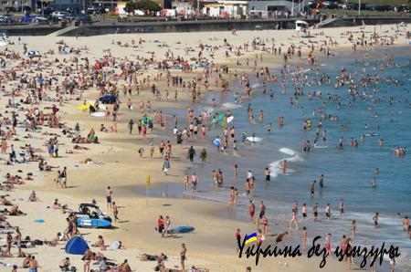 Порошенко и Папа, теракт в Мали: фото дня