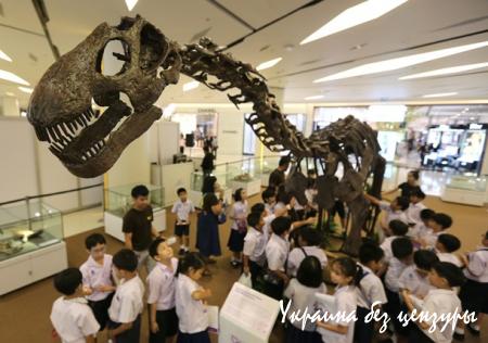 Порошенко и Папа, теракт в Мали: фото дня