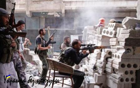 Сирия: лидеры террористов в истерике и призывают кару «небесных ангелов» на российские самолеты, — подробная сводка от «Тимура»