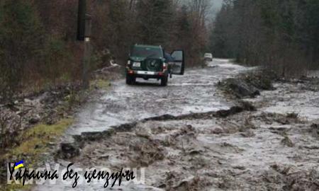 Паводок на Закарпатье: подтоплено 315 домов, разрушена дорога на Драгобрат (ФОТО)