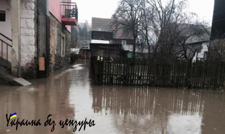 Паводок на Закарпатье: подтоплено 315 домов, разрушена дорога на Драгобрат (ФОТО)