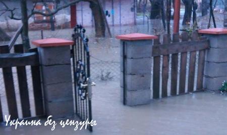 Паводок на Закарпатье: подтоплено 315 домов, разрушена дорога на Драгобрат (ФОТО)