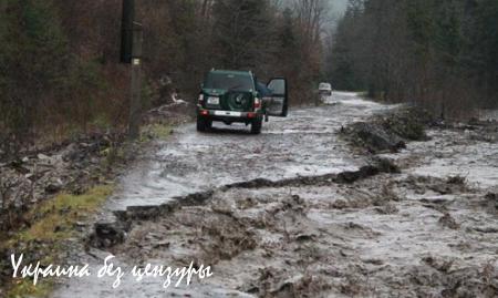 Паводок на Закарпатье: подтоплено 315 домов, разрушена дорога на Драгобрат (ФОТО)