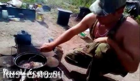 Бойцы украинской армии пожаловались британской прессе, что недоедают и вынуждены воровать горючее