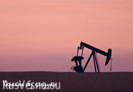 Россия нарастила поставки нефти в Китай на 24%