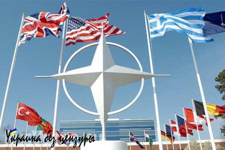 НАТО готовит заявление в связи с инцидентом с российским самолетом в Сирии