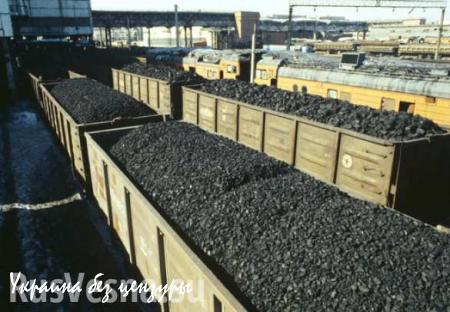 СРОЧНО: ДНР полностью приостанавливает поставки угля на Украину