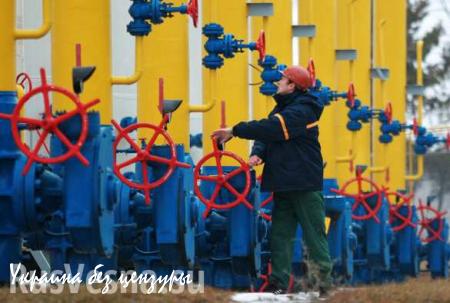 Украина не может закупить газ в Европе из-за задержки реформы «Нафтогаза»