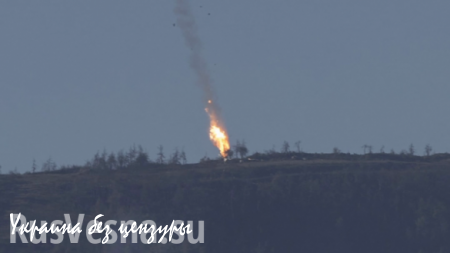 Сбив Су-24, Турция могла мстить за нефть, — аналитики