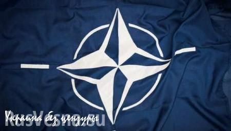 Совет НАТО по Су-24 ограничится заявлением Столтенберга, — источник