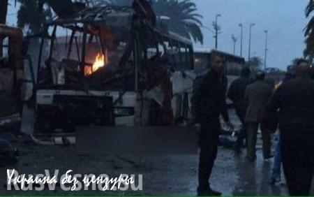 Жертвами взрыва автобуса в центре столицы Туниса стали 11 человек
