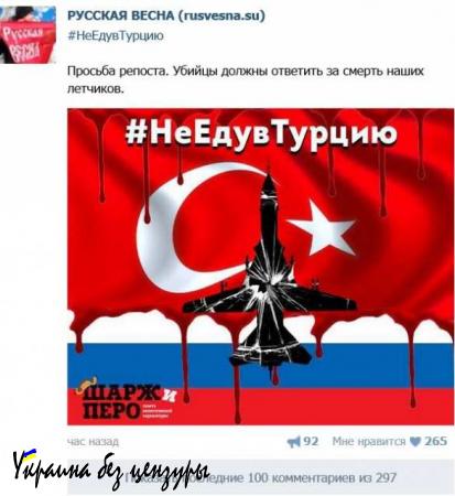 В социальных сетях набирает популярность хештег #НеЕдувТурцию, запущенный «Русской Весной» (ФОТО)