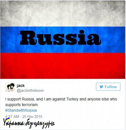 #StandwithRussia: пользователи соцсетей выражают солидарность с Россией после крушения Су-24