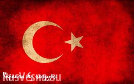 Эксперты: Турция подготовила провокацию с самолетом! (ВИДЕО)