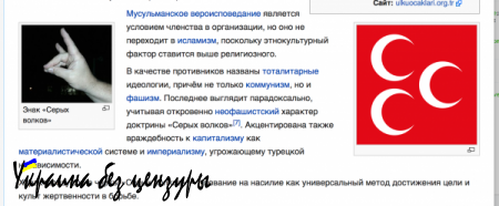 Найти и уничтожить — подробности о главаре террористов, расстрелявших пилота Су-24 (ФОТО, ВИДЕО)