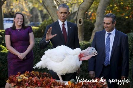 Обама помиловал индеек, РФ грозит Турции: фото дня
