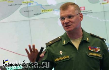 Минобороны РФ: террористы в районе спасения пилота Су-24 уничтожены