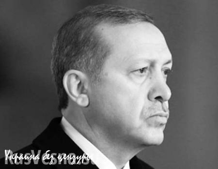 Эрдоган совершил хуже чем преступление — он ошибся