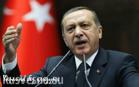Эрдоган сделал «беспрецедентное по своей наглости и лживости выступление»