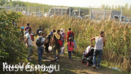 Несколько сотен беженцев попытались прорваться через македонско-греческую границу