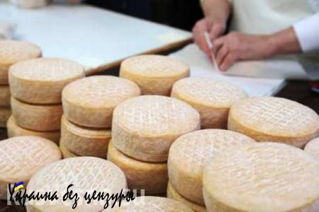 Россельхознадзор планирует разрешить ввоз иранского сыра до конца года
