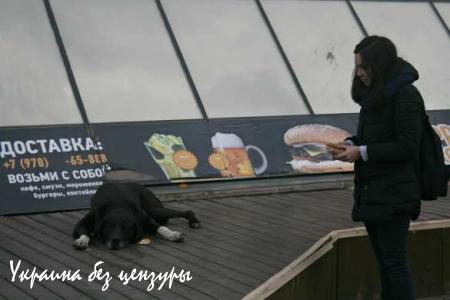 Полуостров добрых дел: как блэкаут сплотил крымчан (ФОТО)