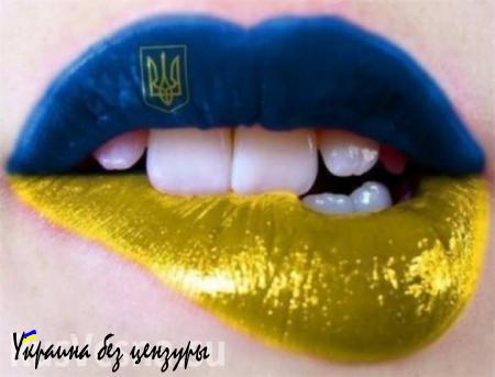 Желто-голубые пломбы: маразм украинской патриотической стоматологии (ФОТО)