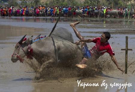 Османская истерия. Главные фото недели