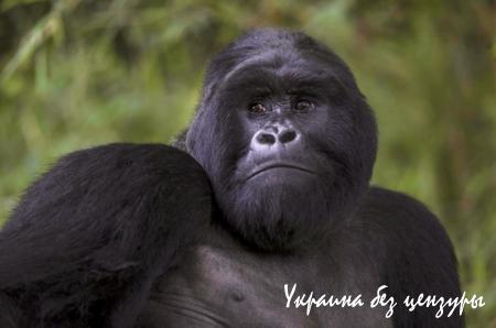 Османская истерия. Главные фото недели