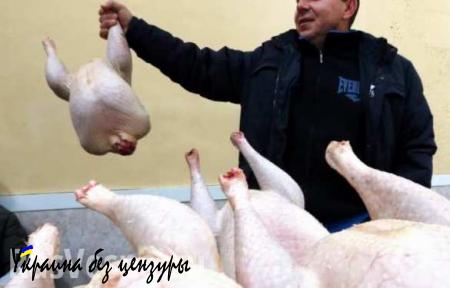 Россельхознадзор вернул в Турцию 54 тонны куриного мяса