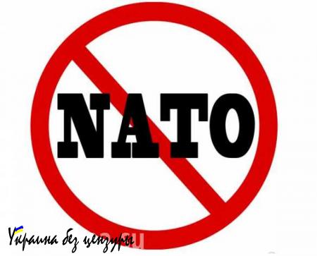 Митинг против вступления Черногории в НАТО — прямая трансляция. Смотрите и комментируйте с «Русской Весной»