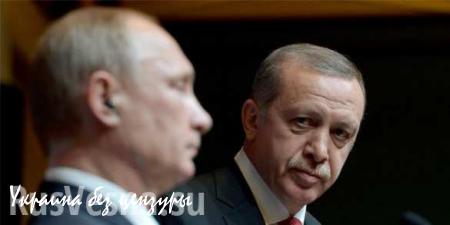 Эрдоган заявил, что готов встретиться с Путиным в ближайшее время