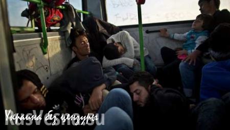Беженцы и нелегалы могут воспользоваться введением безвизового режима между Турцией и ЕС (ВИДЕО)