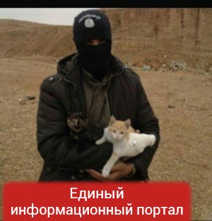 Как вербуют в ИГИЛ: медиа-империя ДАИШ, профессиональный PR и онлайн-присяги террористов (ФОТО, ВИДЕО) Как вербуют в ИГИЛ: медиа-империя ДАИШ, профессиональный PR и онлайн-присяги террористов (ФОТО, ВИДЕО)