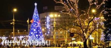 В Донецке начали установку главной новогодней ёлки 